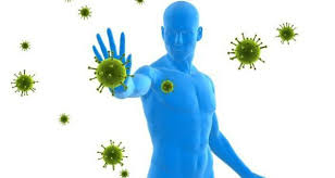 Immunité et allergies